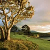 Pebble Beach Quietude By Joann Dost -Metal Print Hot